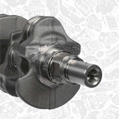 ARBORE COTIT ET ENGINETEAM HK0237 3