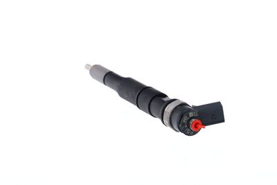 INJECTOR REMANTE 002003001671R 22