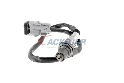 SONDA LAMBDA ACKOJA A53760012 17