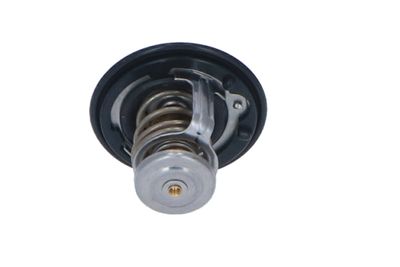 TERMOSTAT LICHID RACIRE NRF 725143 27