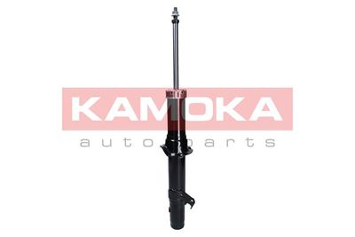 Shock Absorber 2000716