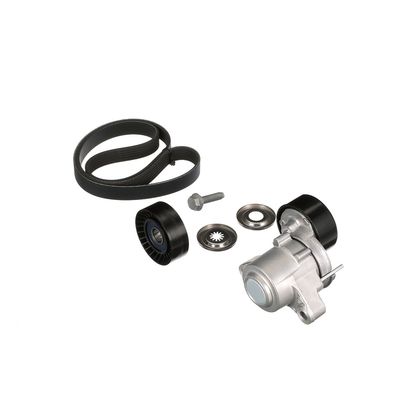 SET CUREA TRANSMISIE CU CANELURI GATES K046PK2625 40