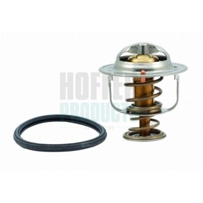 TERMOSTAT LICHID RACIRE