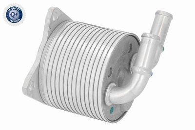 ÖLKüHLER AUTOMATIKGETRIEBE VEMO V42600019 4