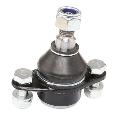Шарнири RIDEX 2462S0107
