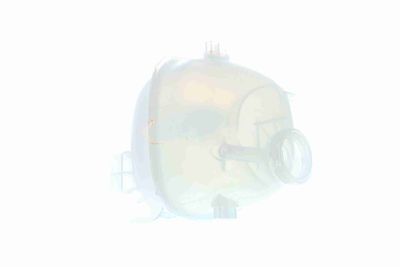 VAS DE EXPANSIUNE RACIRE VAICO V400899 7