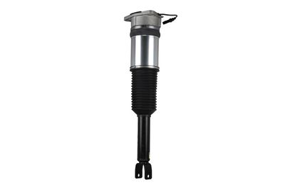 LUFTFEDERBEIN Arnott AS2958 13