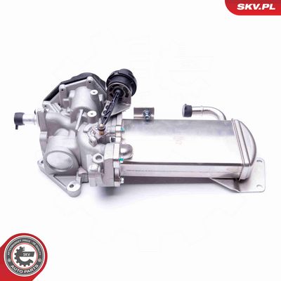 SUPAPA EGR ESEN SKV 14SKV153 2