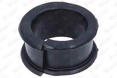 BUCSA ARBORE DE DIRECTIE BIRTH 40611 2