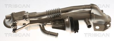 RADIATOR RECIRCULARE GAZE DE ESAPAMENT