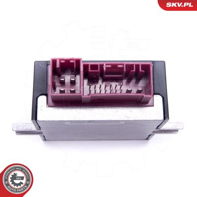 Centralina, Pompa carburante ESEN SKV 96SKV210