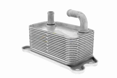 RADIATOR ULEI ULEI MOTOR VEMO V95600011 2