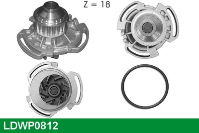 POMPă DE APă RăCIRE MOTOR