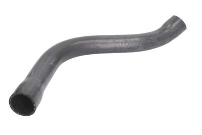 Radiator Hose DWB088TT