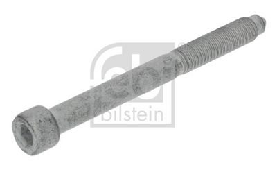 Skrue, indsprøjtningsdyseholder FEBI BILSTEIN 1009163