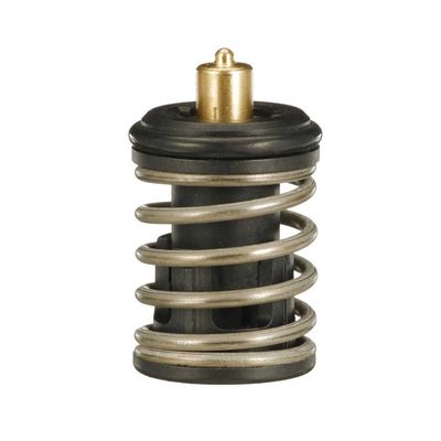 TERMOSTAT LICHID RACIRE GATES TH63497G1 17