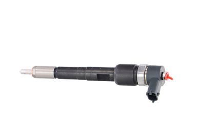 INJECTOR REMANTE 002003001711R 14