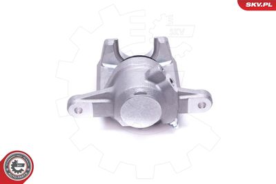 Brake Caliper 42SKV444