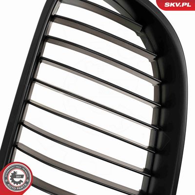 GRILA RADIATOR ESEN SKV 66SKV113 6