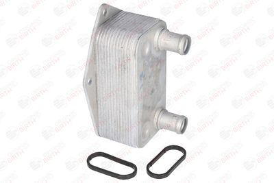 RADIATOR ULEI ULEI MOTOR BIRTH 80041 11