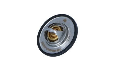 TERMOSTAT LICHID RACIRE NRF 725156 12