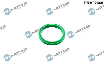 Pierścień uszczelniający, elast. przewód pow. do turbiny DR.MOTOR AUTOMOTIVE DRM02668