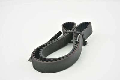 CUREA DE DISTRIBUTIE FEBEST 011404AFE 17