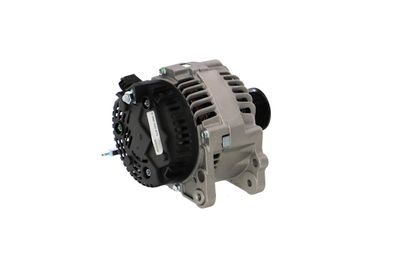 GENERATOR / ALTERNATOR REMANTE 011003000645R 33