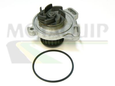 POMPă DE APă RăCIRE MOTOR MOTAQUIP VWP358 1