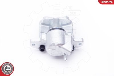 Brake Caliper 42SKV631