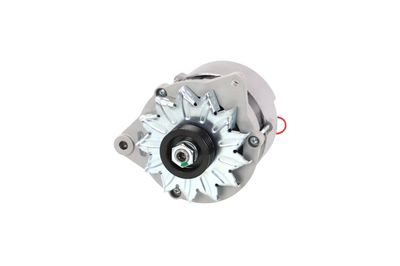 GENERATOR / ALTERNATOR REMANTE 011003000065R 65