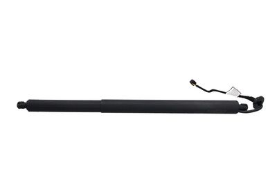 Galinių durų elektros variklis