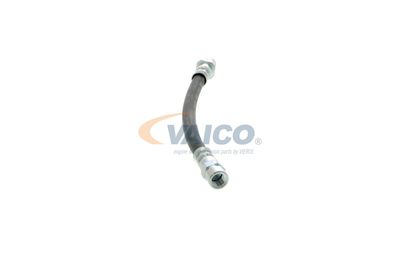 FURTUN FRANA VAICO V204112 38