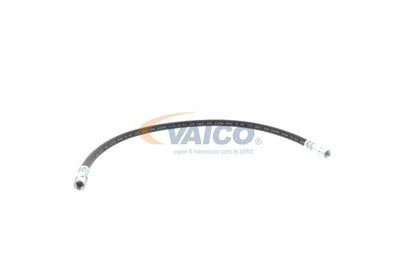 FURTUN FRANA VAICO V309926 57