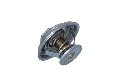 TERMOSTAT LICHID RACIRE NRF 725072 21
