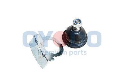 Šarnyras / girgždukas