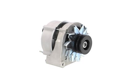 GENERATOR / ALTERNATOR REMANTE 011003000025R 53