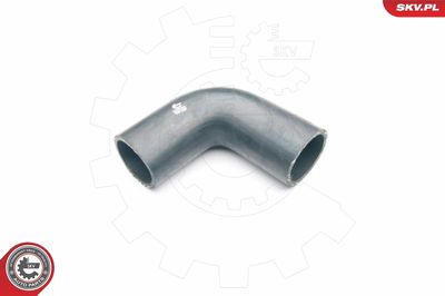 FURTUN EAR SUPRAALIMENTARE