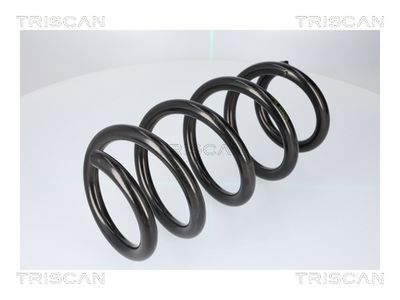 ARC SPIRAL TRISCAN 87508110 1