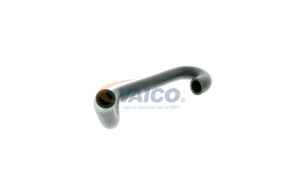 FURTUN RADIATOR VAICO V201701 52