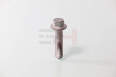 SURUB CAPAT DE AX GH GH392549 47