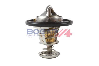 TERMOSTAT LICHID RACIRE BOGAP T4245109 1