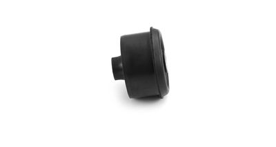 LAGERUNG LENKER SKF VKDS431016 11
