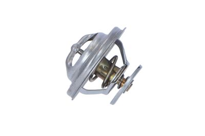 TERMOSTAT LICHID RACIRE NRF 725073 18