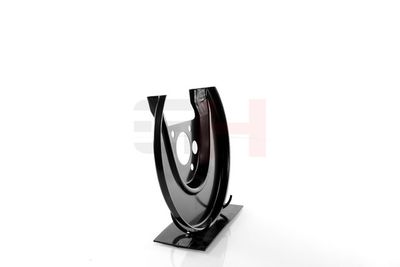 PROTECTIE STROPIRE DISC FRANA GH GH484778H 16