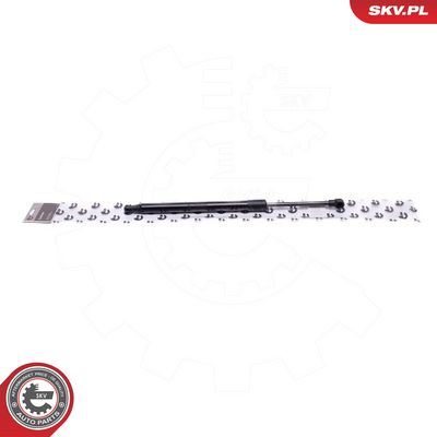 Gasfeder, Motorhaube