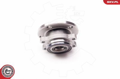 Wheel Bearing Kit 29SKV010