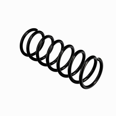 ARC SPIRAL EIBACH R10118 10