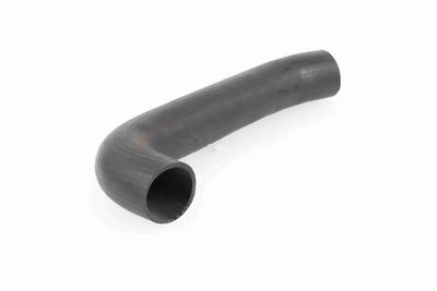 FURTUN EAR SUPRAALIMENTARE ACKOJA A379602 8