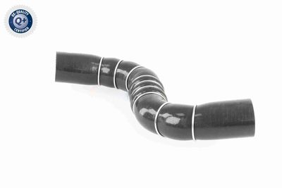 FURTUN EAR SUPRAALIMENTARE ACKOJA A389602 2